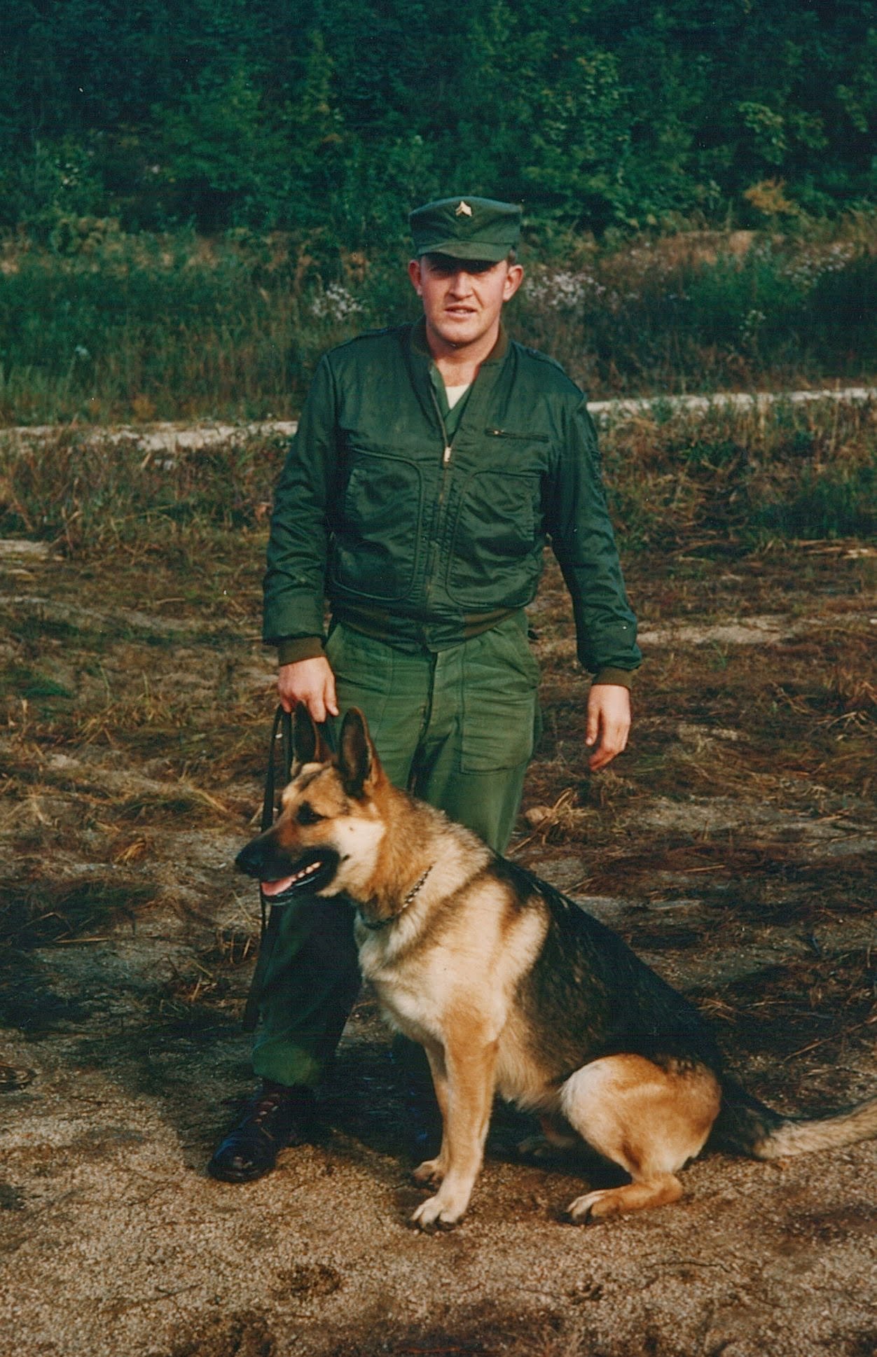 Nelson T. Findlay